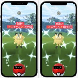 色違い✨ニャース✨ガラルアカウント販売