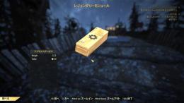 PC版 レジェンダリーモジュール 500個