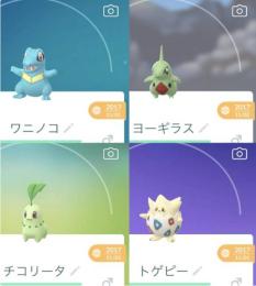 ぎるぽさま専用