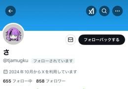 🇯🇵日本人フォロワー858人🌸 ポスト899件 運用済み｜検索載ります👑