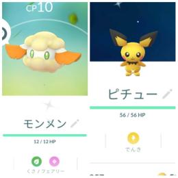 東京産色違いモンメン ピチュー アカウント販売