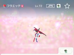 【即購入可】AZフラエッテ(えいえんのはな)
