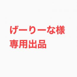 げーりーな様専用