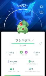 おんもこさま専用