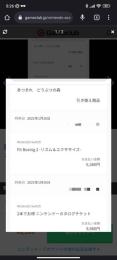 ニンテンドーオンラインチケット付  あつ森マリオカートフィットボクシング