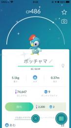 【アカウント】色違い赤帽子ポッチャマ♀(国産)・色違いブイゼル 