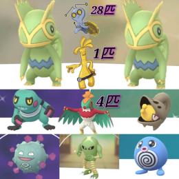 TL32💡色違い✨カクレオン2匹、チョボマキ他💡サーフゴー💡コレクレー28匹💡ルチャブル4匹