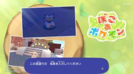 ぽこあポケモン ストーリークリア済みセーブデータ｜全スキル解放＋ライフコイン10万枚