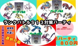 Ｓ１３対策パーティ　１ＰＴ８００円