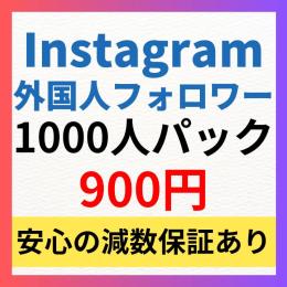 【人気】高品質Instagram多国籍フォロワー1000人増加代行