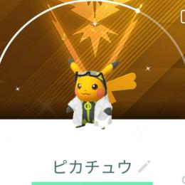 新一さま専用