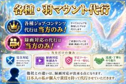 ⭐羽・マウント獲得【業界最安値】