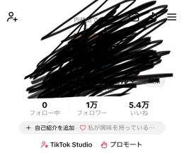 【収益化済】tiktok収益化済みアカウント