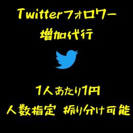 Twitterフォロ爆 1000人 1000円 減少補償あり