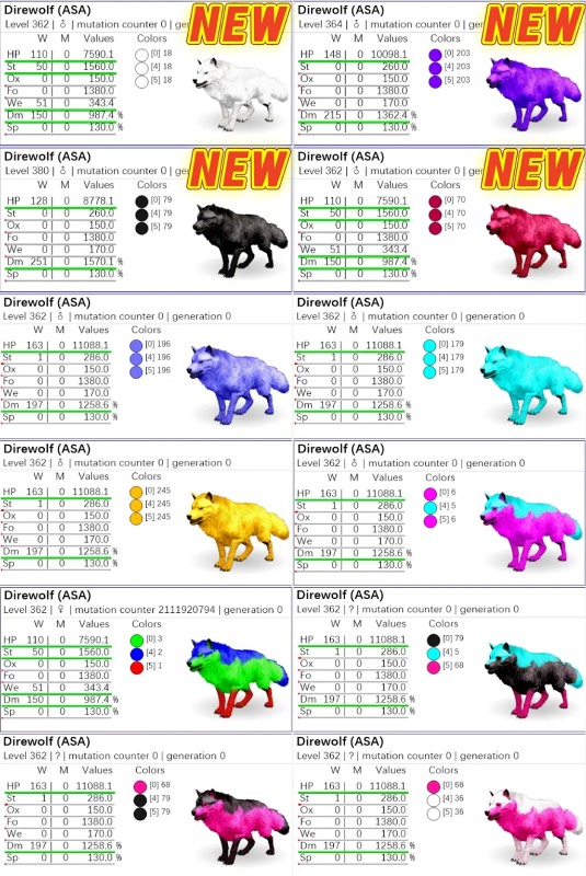 出品画像