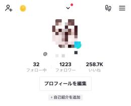 Tiktok フォロワー1200人 引退アカウント