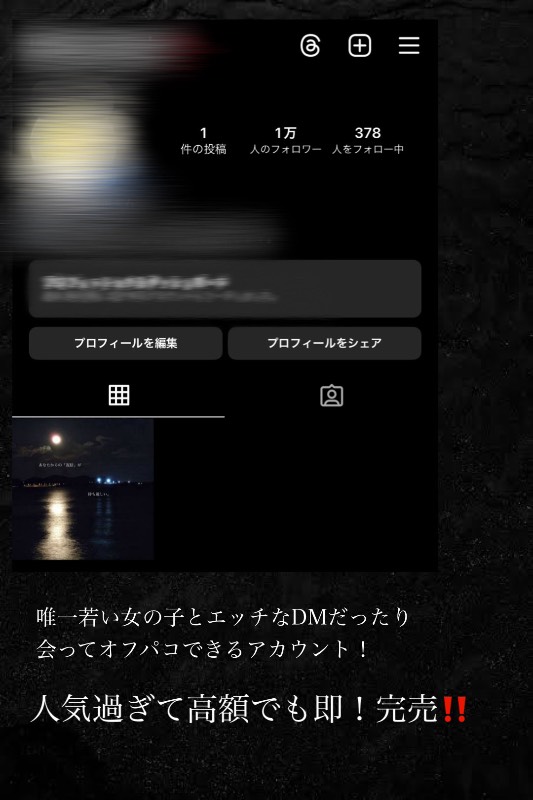 出品画像