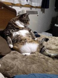 とれるん様専用