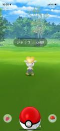 とれめろん様専用