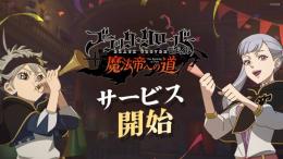 即時対応 石11000-12000個＋ガチャ券100枚＋10連ガチャSSR未使用 初期垢