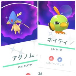 色違いアグノム ネイティ アカウント販売
