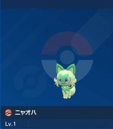 色違いニャオハ 即購入可