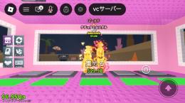 ケチャマス256.5M
