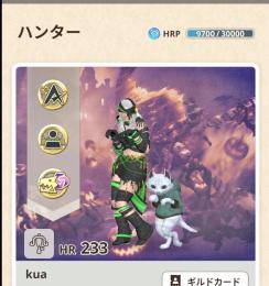 ⚠️24時間値下げ中‼️ワンオーナー引退垢‼️HR233‼️武器G10-5 34個　回復薬143個