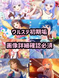【画像確認/サイト検索無】全アカウント550円
