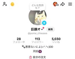 ホビ垢 オタ垢 引退 TikTokアカウント アクティブフォロワー