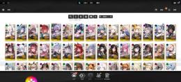 引退垢です、ラピ、ミハラ、アニス、セイレーン限定コスチューム有りです、他コスチュームもありです。。