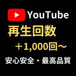 YouTube 再生回数 1,000回～増加 チャンネル振り分け可能
