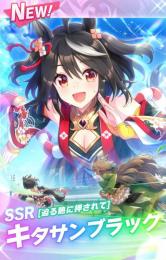 キタサン完凸　☆3ウマ多数　引退アカウント