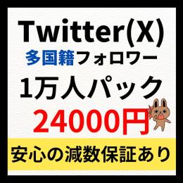 Twitter(X)多国籍フォロワー1万人増やします！　振り分け可能