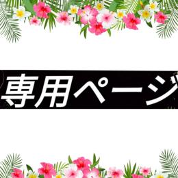 ぎーちゃん様　専用　追加　別注　色違い　探偵ピカチュウ♂