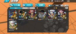 超フェス7体・他環境フェス限数体所持(赤ボニなど)