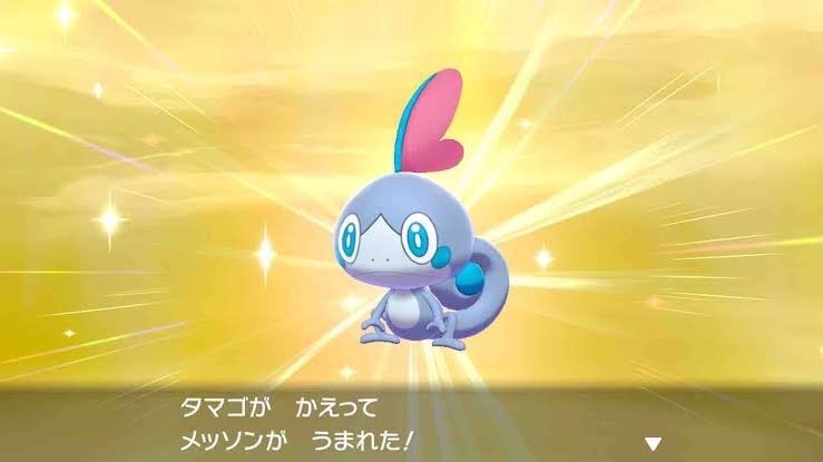 ポケモン育成代行 Id親名前指定可能 配布と卵も対応 ポケモン剣盾 ゲームクラブ ポケモン育成代行 Id親名前指定可能 配布と卵も対応 ポケモン剣盾 ゲームクラブ