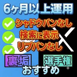 5個セット 6ヶ月以上運用X（Twitter）アカウント【シャドウバンなし】
