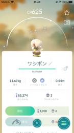 【アカウント】色違いワシボン(国産)・色違いダルマッカ・エムリット 個体値100