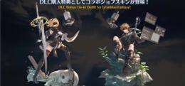 ジョブスキン ヨルハ部隊装備 2B 特典 シリアルコード グランブルーファンタジーGBVSR