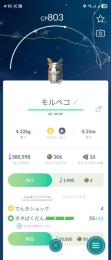 ✨色違いモルペコ♂1♀1✨
