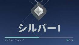 シルバー1のアカウント売ります。【解放：レイナ　ブリーチ】