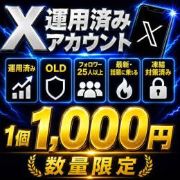 運用済み！【⚡𝕏 OLD ACCOUNT×1⚡】長期作成の希少垢🔥スムーズログイン対応🚀