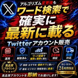 【30日以上運用】　ノーシャドウバン　確実に検索・最新に載る　10個セット