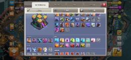 🉐TH14カンスト目前‼️レア背景スキン所持‼️