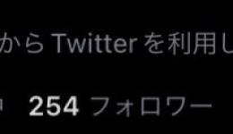 ✅Twitter 日本人フォロワー アクティブ垢 ✅
