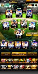 中日純正垢