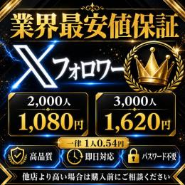 【業界最安値保証】Xフォロワー3,000人