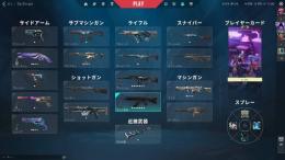 早い者勝ち！17SKIN アラクシスヴァンダル　リーヴァファントムなど　アイアン