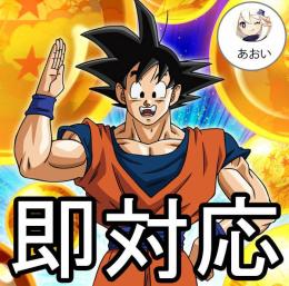 ランク1 龍石1000個+2LR（ランダム）Android 即時対応